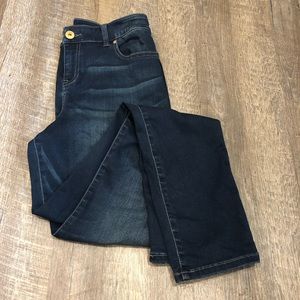 Inc Denim Skinny Jeans